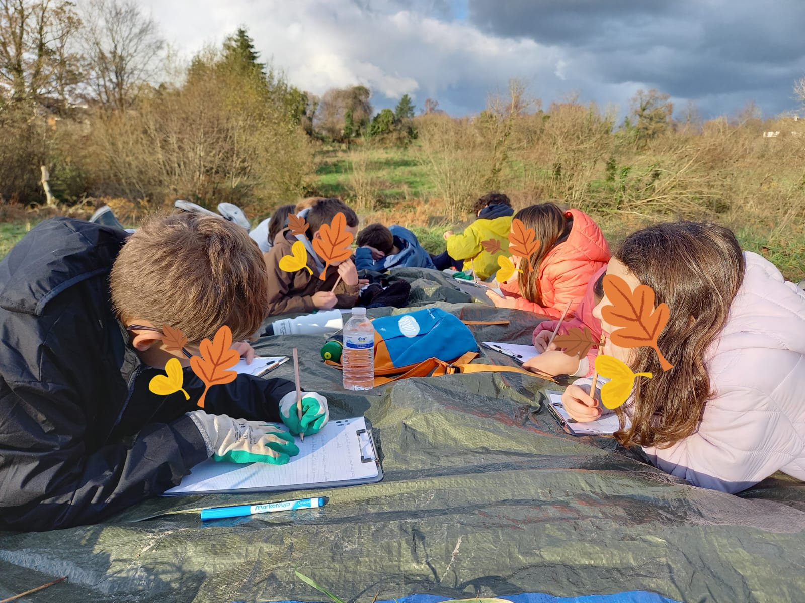 apprendre en pleine air