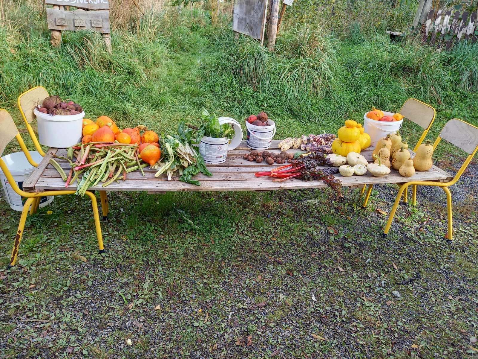 partager ses légumes et des repas.